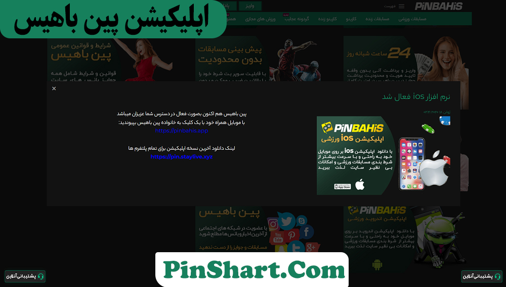 اپلیکیشن پین باهیس